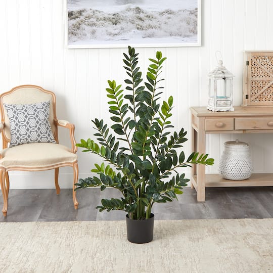 4ft. Potted ZZ Plant